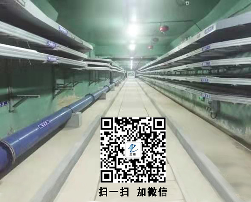 電力工業以太網交換機解決方案